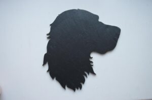 Spaniel-Copy-2