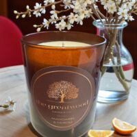 Gifts & Lifestyle